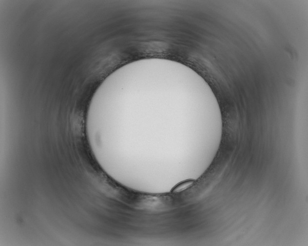 X0000112070083200908251052