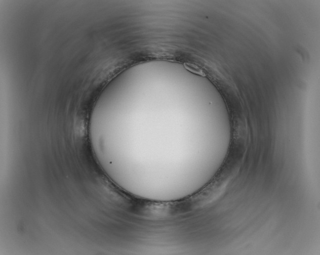 X0000112070084200908251052