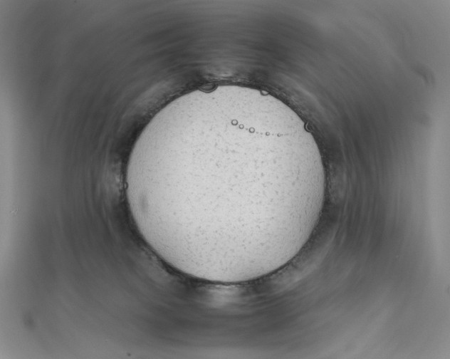X0000112070085200908251052