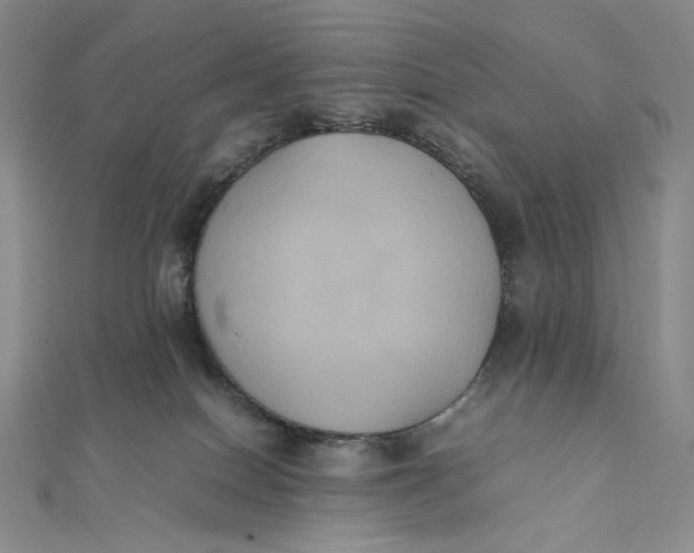 X0000112070086200908251052