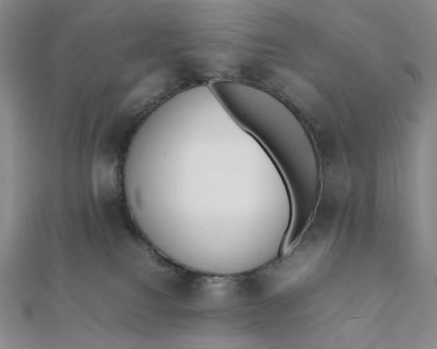 X0000112070088200908251052