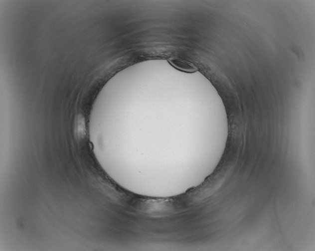 X0000112070089200908251052