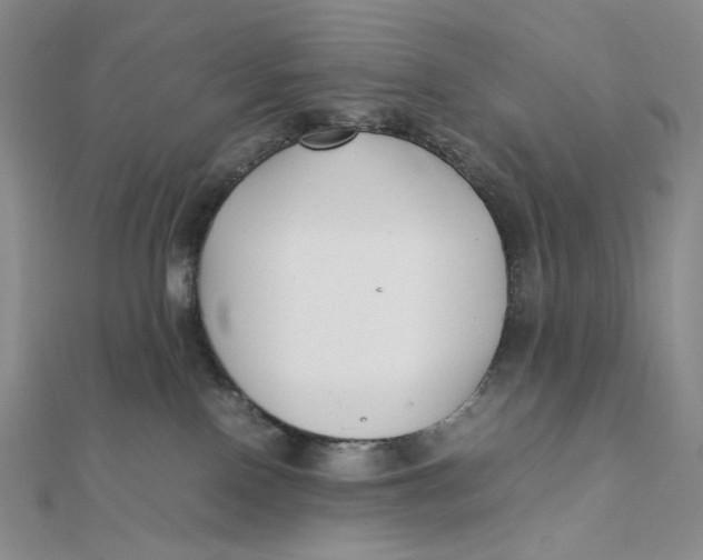X0000112070090200908251052