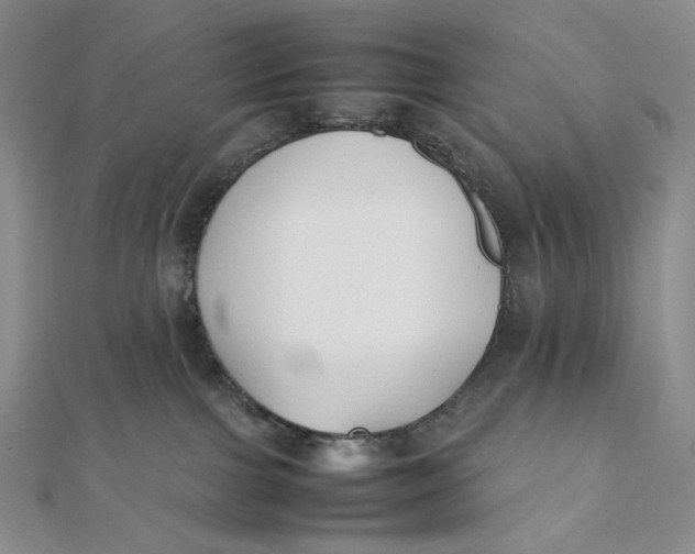 X0000112070091200908251052