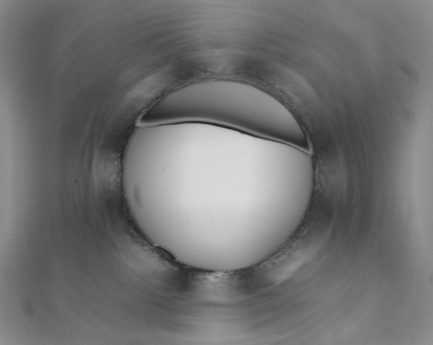 X0000112070092200908251052