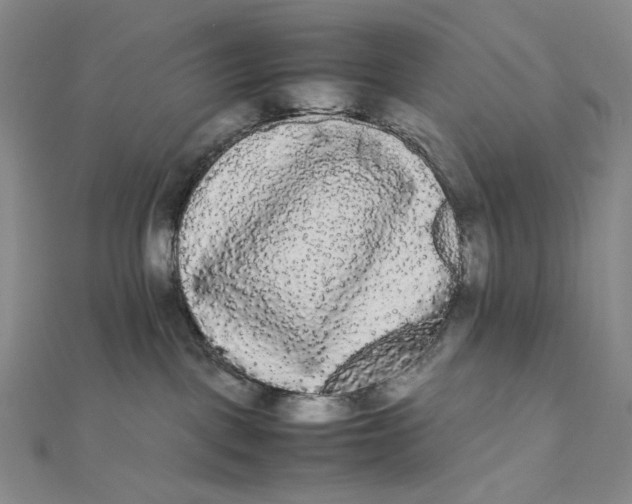 X0000112070093200908251052