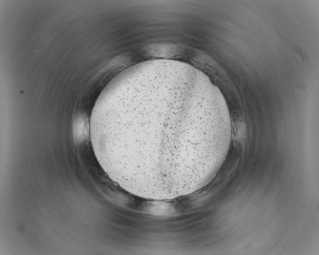 X0000112070095200908251052