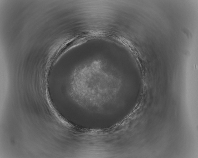 X0000112070097200908251051