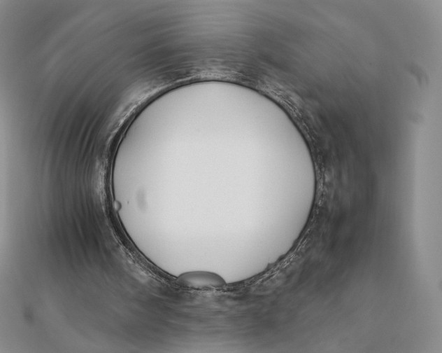 X0000112070098200908251051