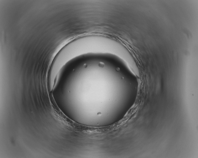X0000112070100200908251051