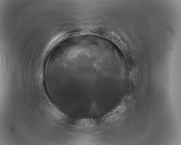 X0000112070101200908251051