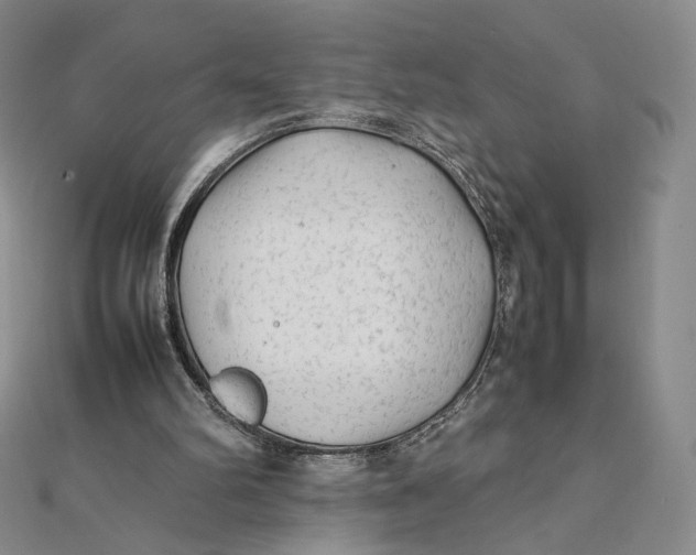 X0000112070102200908251051