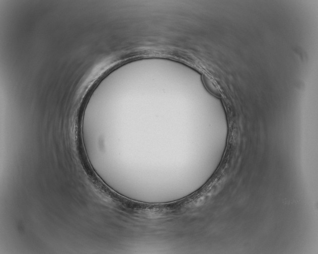 X0000112070103200908251051