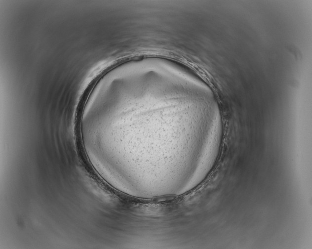 X0000112070104200908251051