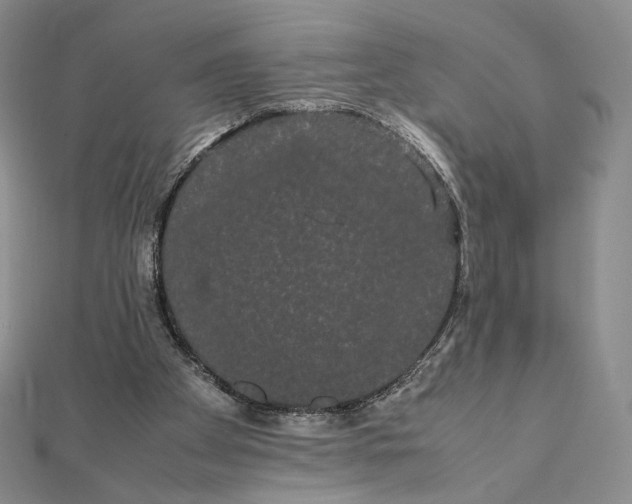 X0000112070105200908251051
