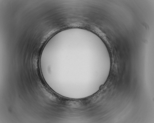 X0000112070106200908251051