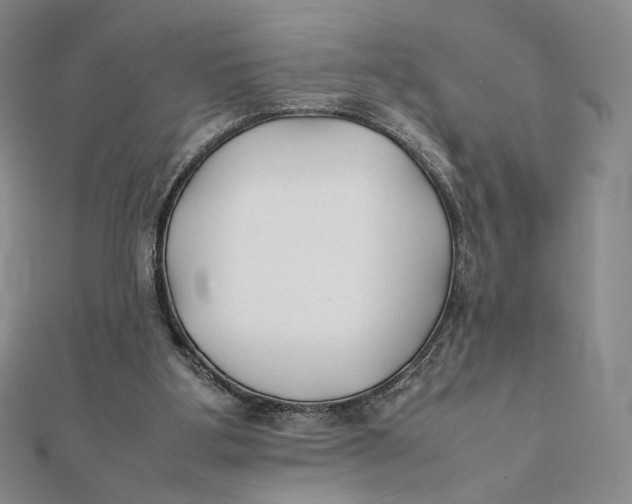 X0000112070107200908251051
