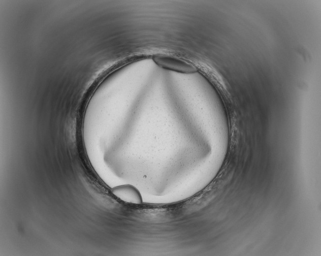 X0000112070108200908251051