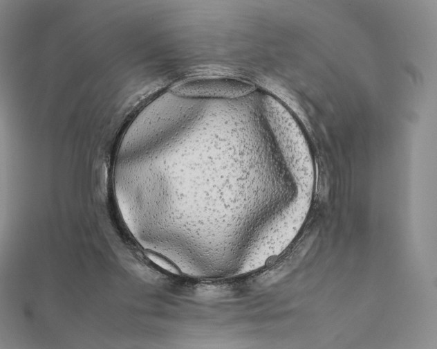 X0000112070109200908251051