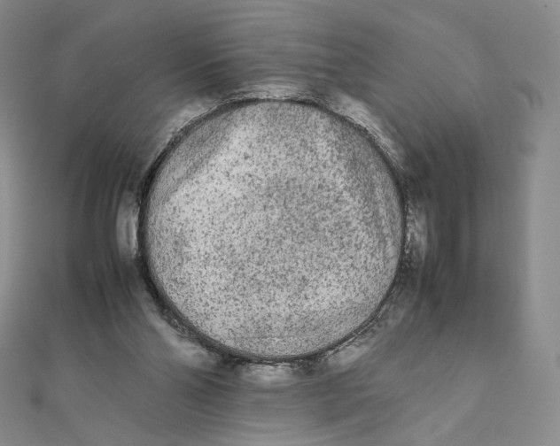 X0000112070110200908251051