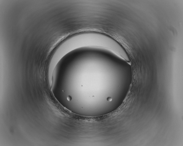 X0000112070112200908251051