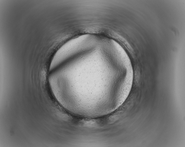 X0000112070113200908251051