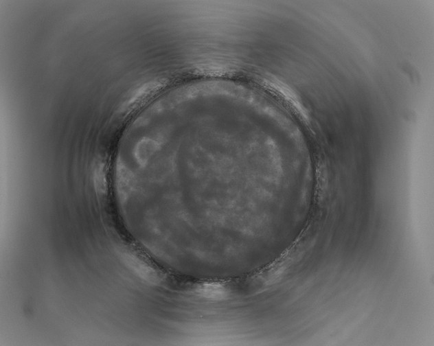 X0000112070114200908251051