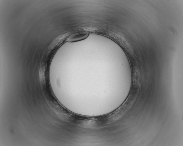 X0000112070116200908251051