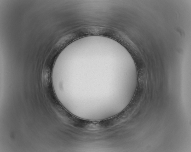 X0000112070119200908251051