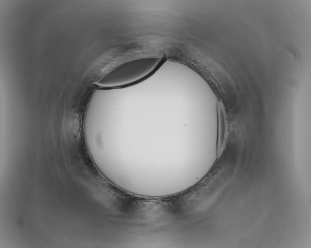 X0000112070121200908251051