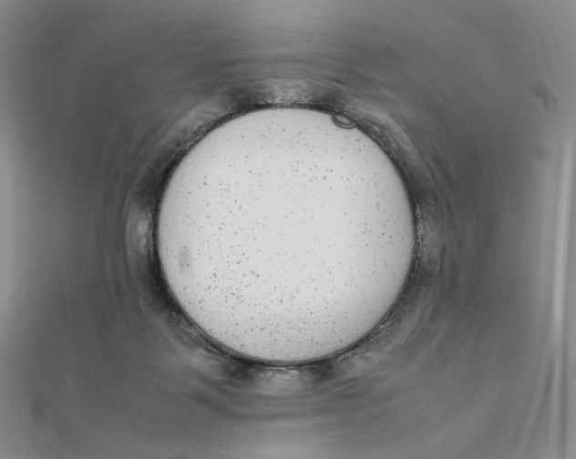 X0000112070123200908251051