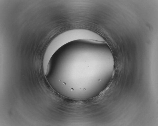 X0000112070124200908251051