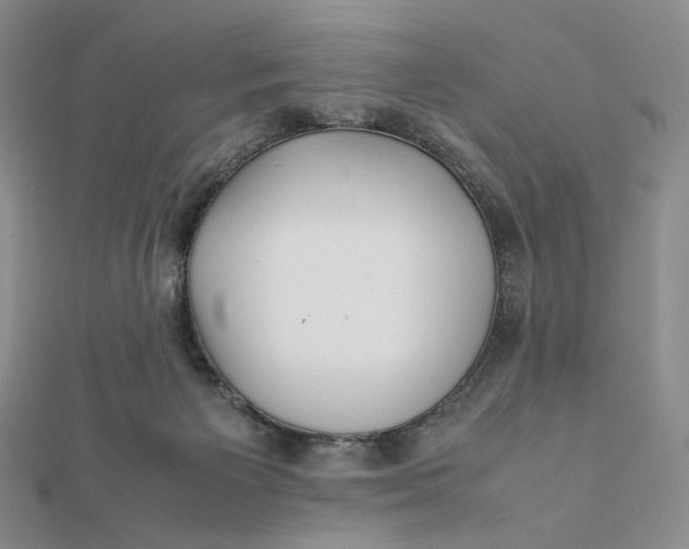 X0000112070125200908251051