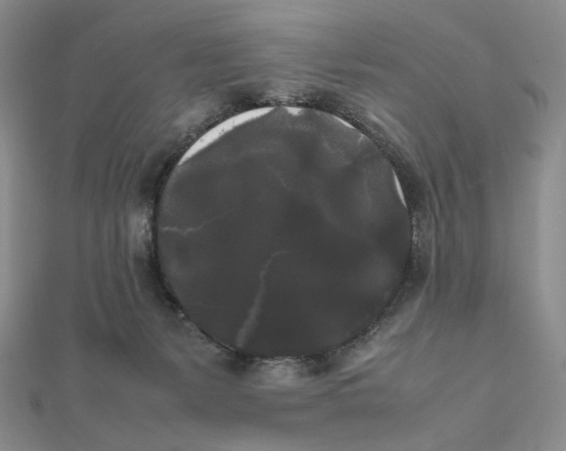 X0000112070127200908251051