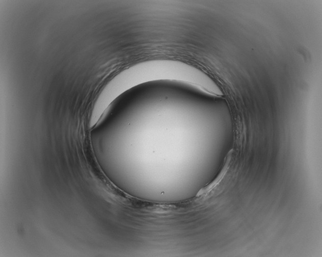 X0000112070128200908251051