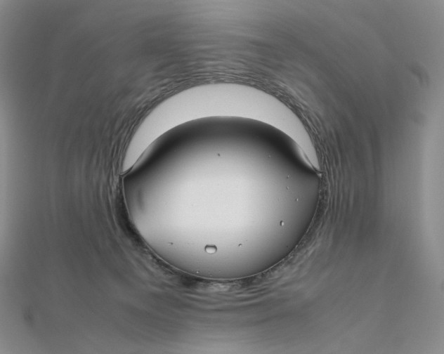 X0000112070129200908251051