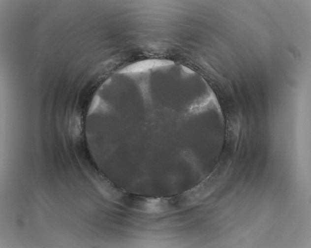 X0000112070130200908251051