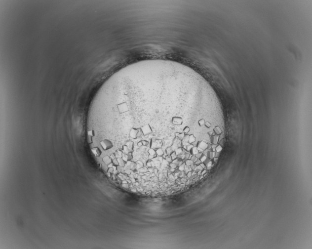X0000112070131200908251051