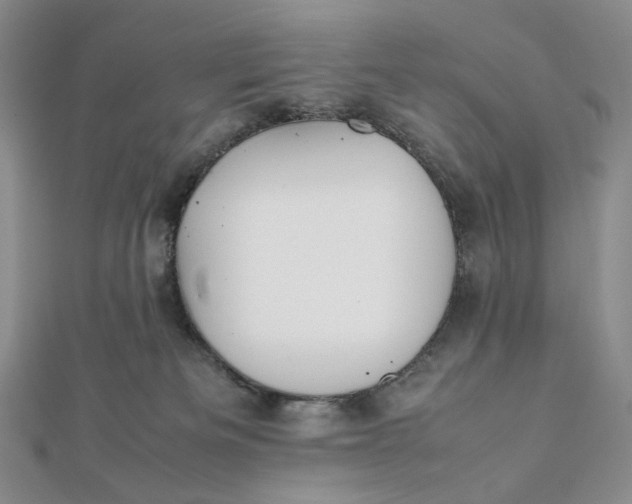 X0000112070133200908251051