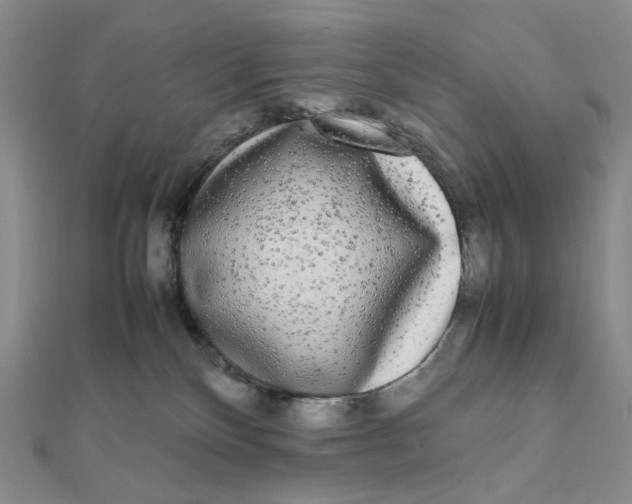 X0000112070136200908251051