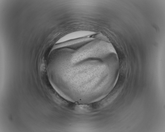 X0000112070137200908251051