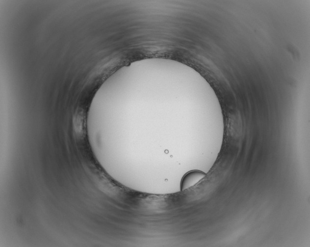 X0000112070138200908251051