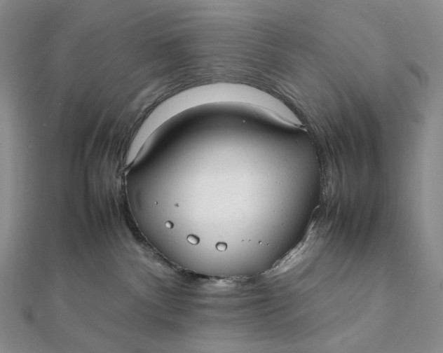 X0000112070140200908251051
