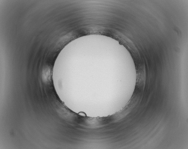 X0000112070142200908251051