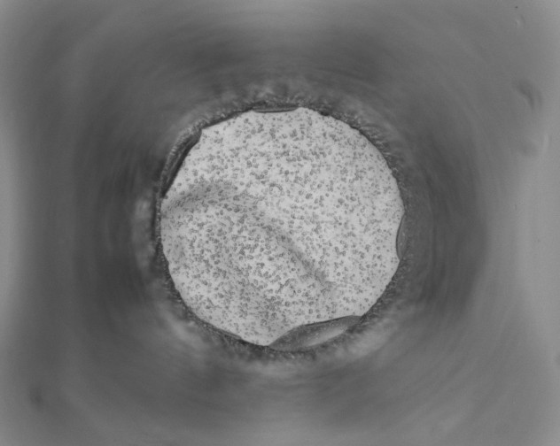 X0000112070144200908251051