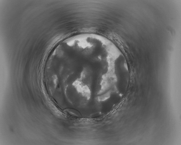 X0000112070145200908251050