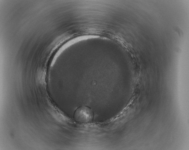 X0000112070146200908251050