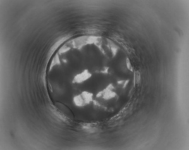 X0000112070147200908251050