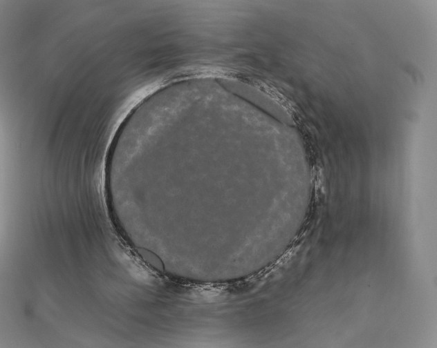 X0000112070148200908251050
