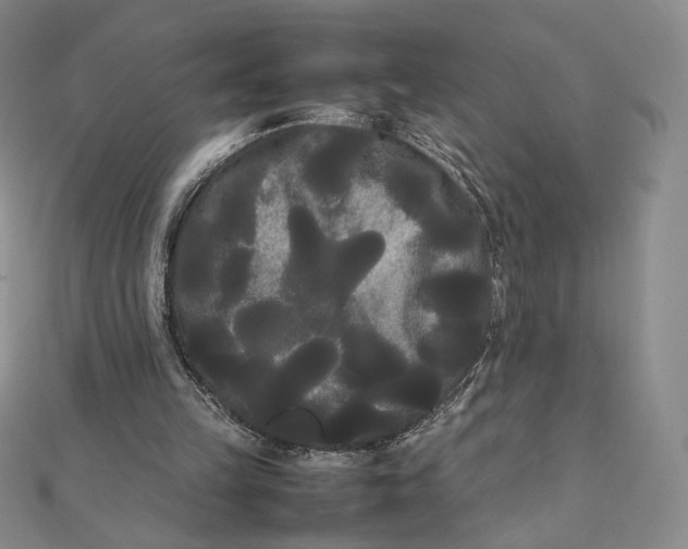 X0000112070149200908251050